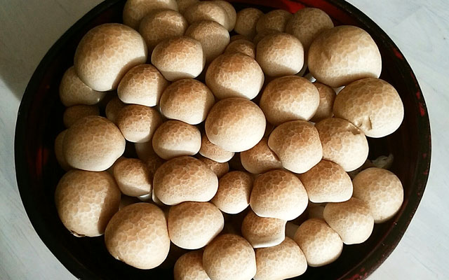 しめじ一株